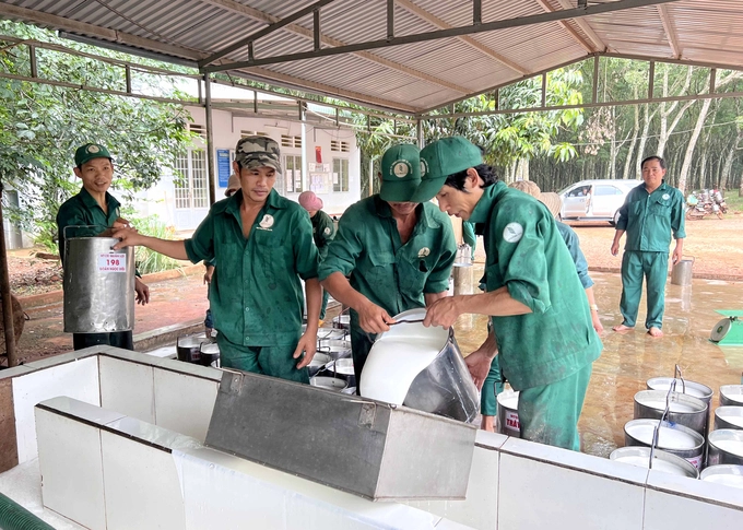 Ngành cao su phát triển bền vững - Nâng cao năng lực cạnh tranh bằng chứng nhận doanh nghiệp bền vững